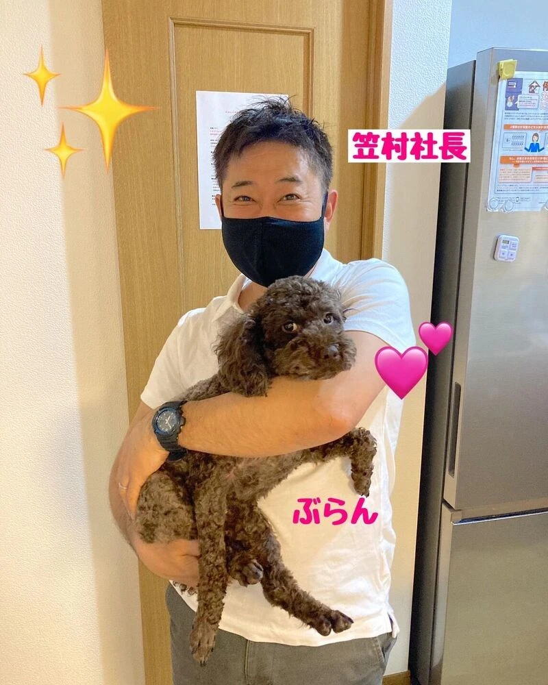 ブログ画像