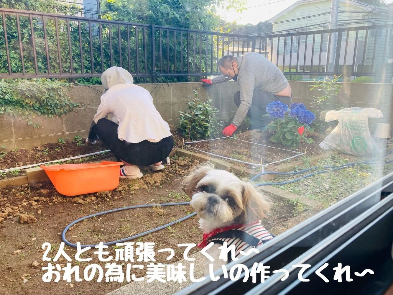 ブログ画像