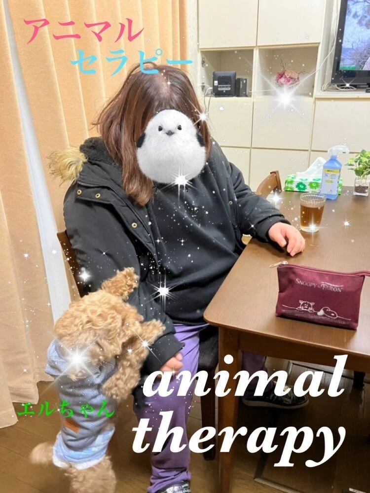ブログ画像