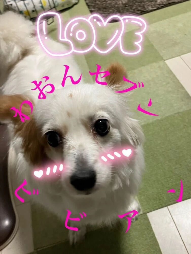 ブログ画像