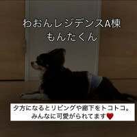 ブログ画像