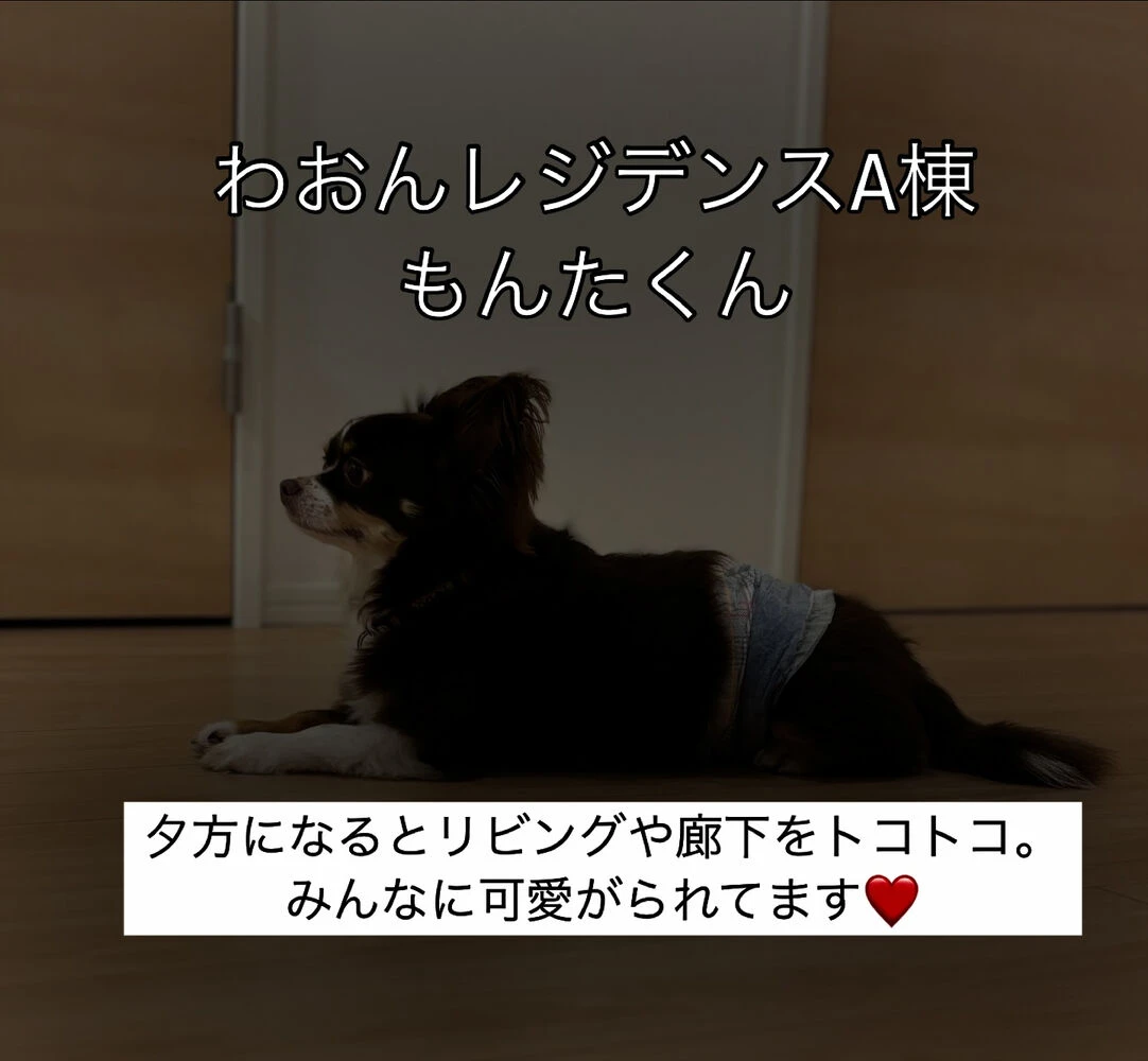 ブログ画像