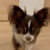 動画サムネイル