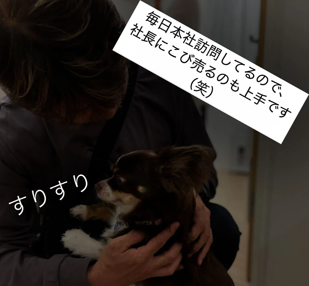 ブログ画像