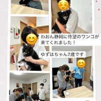 ブログ画像