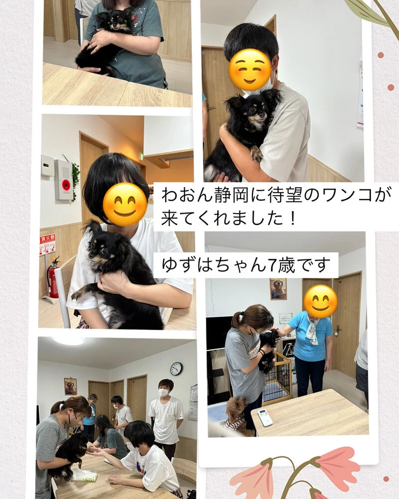 ブログ画像
