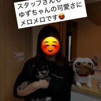ブログ画像