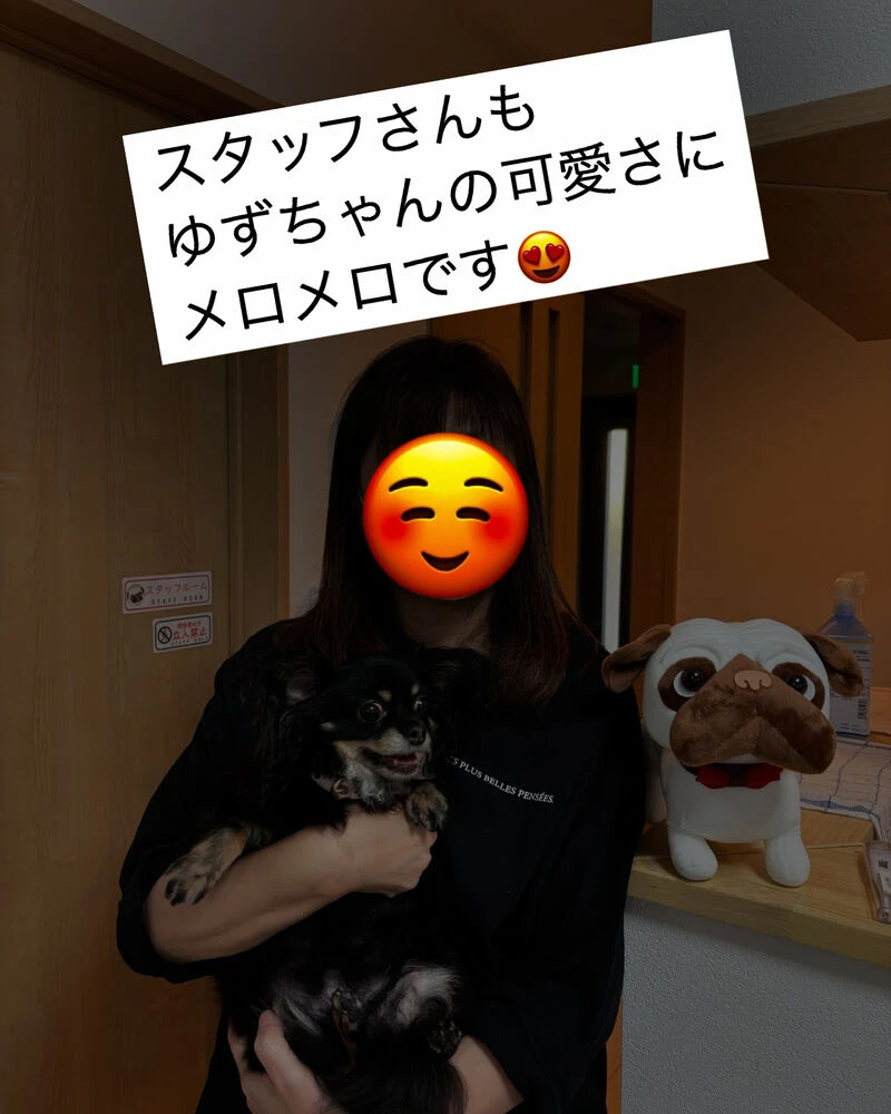 ブログ画像