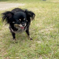 動画サムネイル